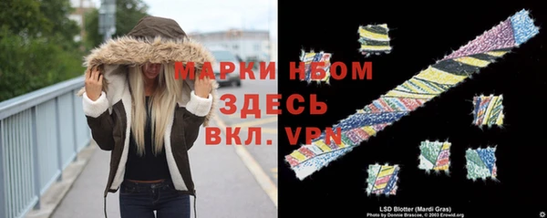 a pvp Абаза